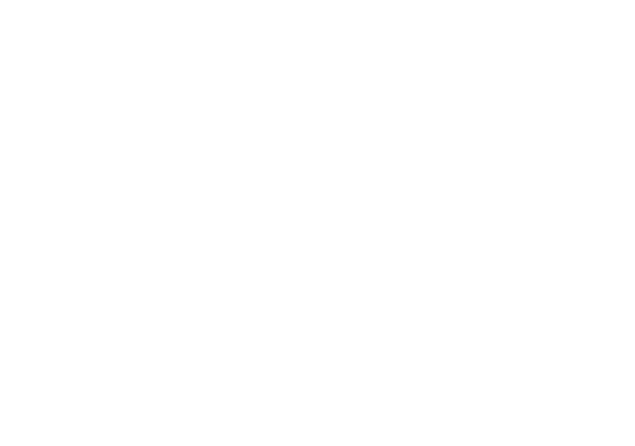 Leadership Accelerator
